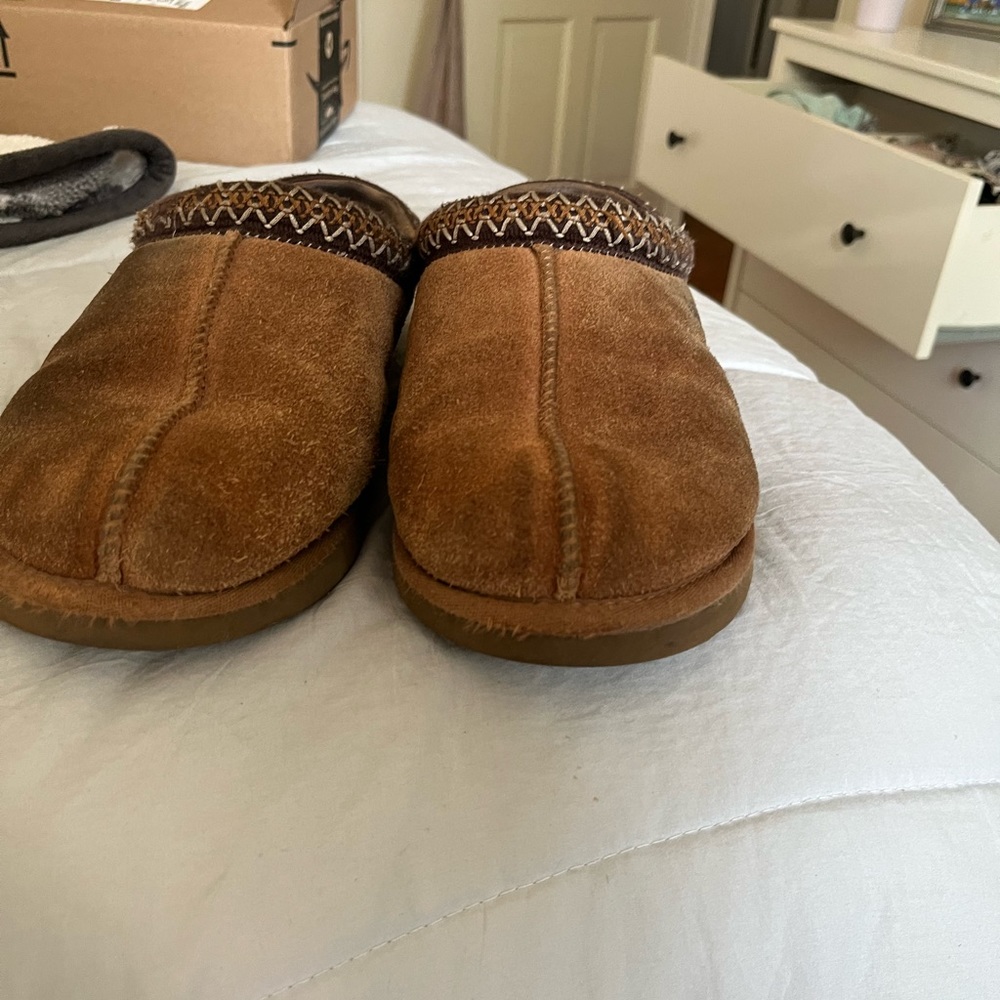 tasman uggs